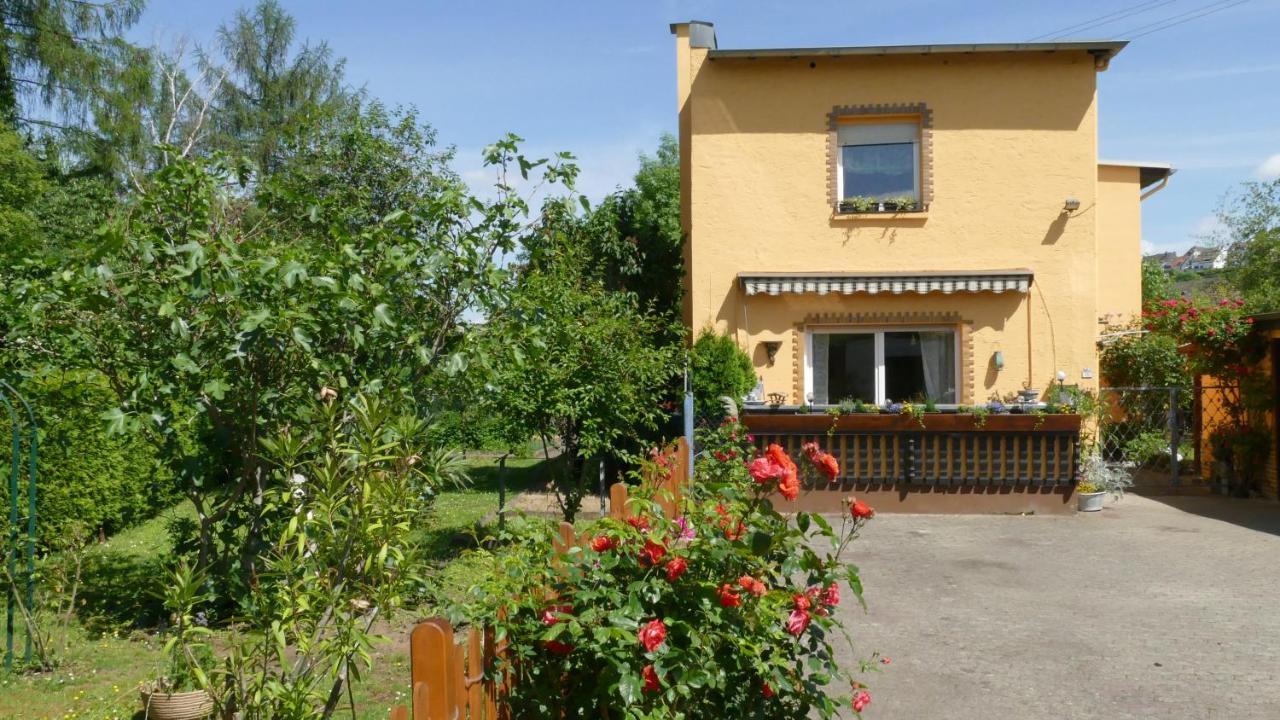 Ferienwohnung Lahnmündung mit kostenlosem Parkplatz Lahnstein Exterior foto